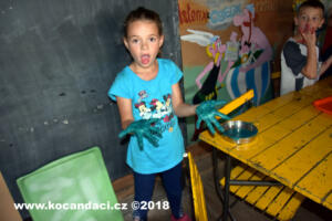DSC 0142