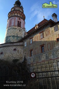 IMG_0059