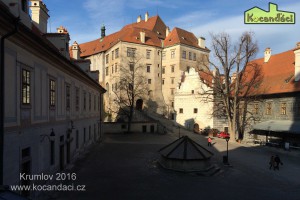 IMG_0060