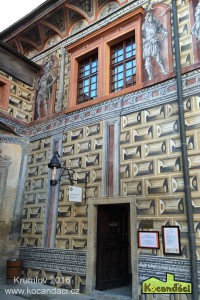 IMG_0061