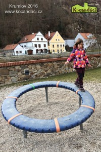 IMG_0100 