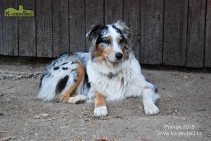 DSC_6318
