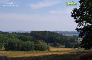 IMGP2147