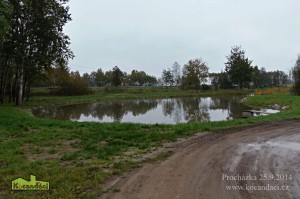 PA251391