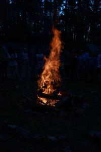 IMG 3255