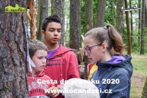 Cesta do pravìku 2020, LT Na Kocandì, www.kocandaci.cz