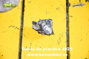 Cesta do pravìku 2020, LT Na Kocandì, www.kocandaci.cz