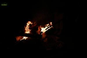 IMG 5884