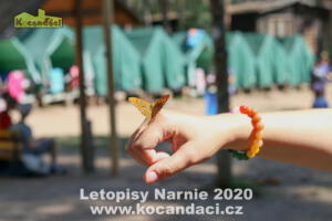 Letopisy Narnie 2020, LT Na Kocandì, www.kocandaci.cz