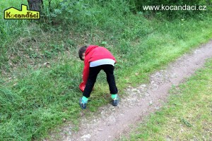 Kopie souboru IMG 0331
