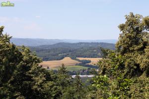 IMG 7685