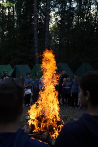 IMG 7881