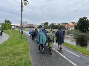 IMG 3193