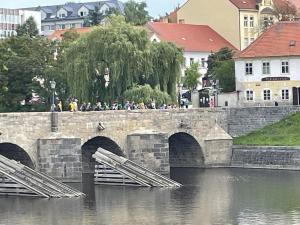 IMG 5192