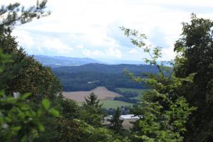 IMG 9180