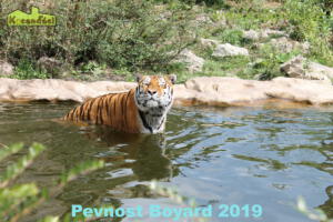 Jméno souboru: IMG_1241.JPG
