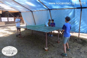 DSCN6903