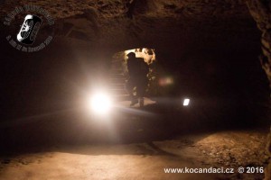 IMG 1574 (2)